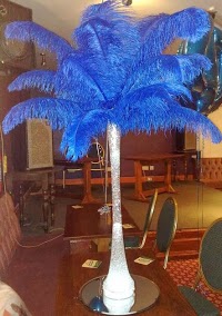 Ostrich Feather Displays 1066658 Image 6